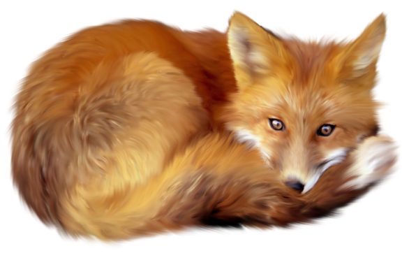 狐狸 PNG免抠图透明素材 16设计网编号:23145