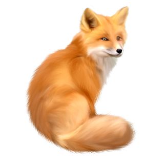 狐狸 PNG免抠图透明素材 素材天下编号:23146