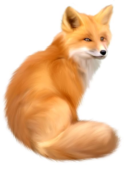 狐狸 PNG免抠图透明素材 16设计网编号:23159