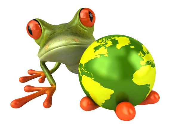 青蛙 PNG免抠图透明素材 16设计网编号:35760
