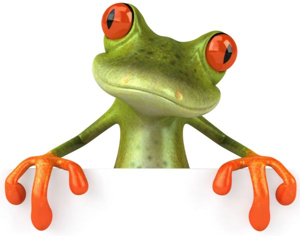 青蛙 PNG透明背景免抠图元素 16图