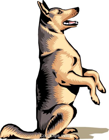 德国牧羊犬 PNG免抠图透明素材 16设计网编号:72763