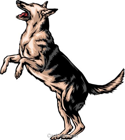 德国牧羊犬 PNG免抠图透明素材 16设计网编号:72764