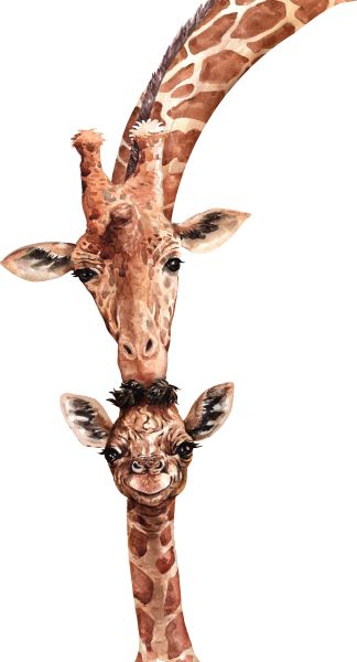 长颈鹿 PNG透明背景免抠图元素 素材中国编号:103935