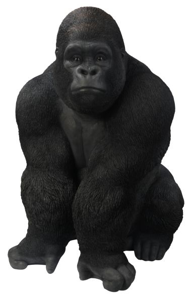 大猩猩 PNG透明背景免抠图元素 16图库网编号:18715