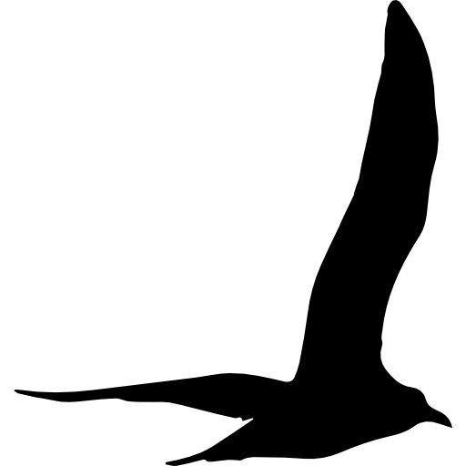 海鸥 PNG免抠图透明素材 普贤居素材编号:28574