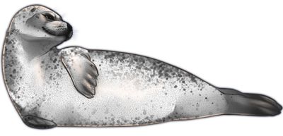 海豹 PNG透明背景免抠图元素 16图库网编号:25084