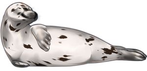 海豹 PNG透明背景免抠图元素 16图库网编号:25085