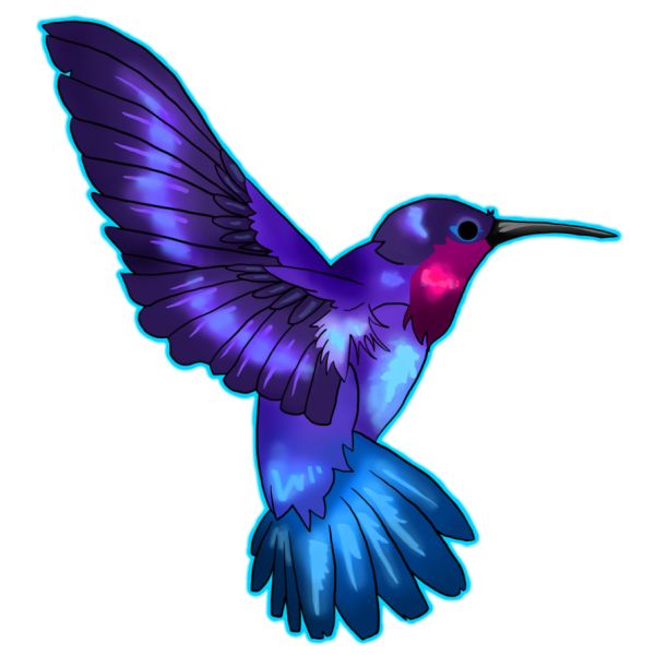 蜂鸟 PNG免抠图透明素材 16设计网编号:67128