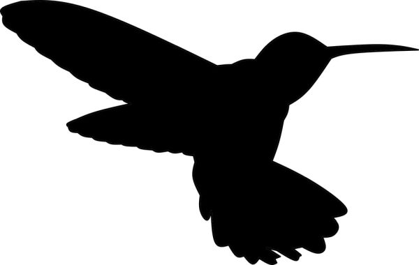 蜂鸟 PNG透明背景免抠图元素 16图库网编号:67139