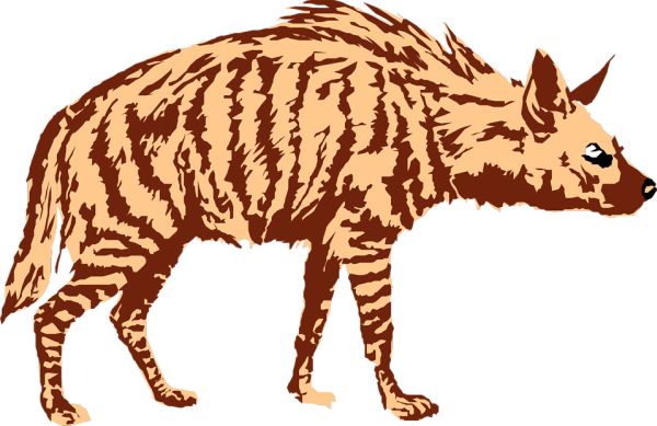 鬣狗 PNG免抠图透明素材 16设计网编号:31428