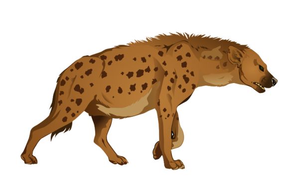 鬣狗 PNG免抠图透明素材 16设计网编号:31457