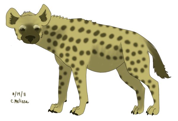 鬣狗 PNG免抠图透明素材 16设计网编号:31470