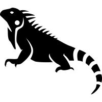 鬣蜥PNG免抠图透明素材 16设计网编号:93159