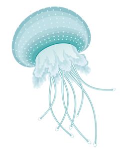 水母 PNG免抠图透明素材 16设计网编号:47046