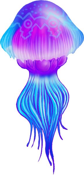 水母 PNG透明背景免抠图元素 16图