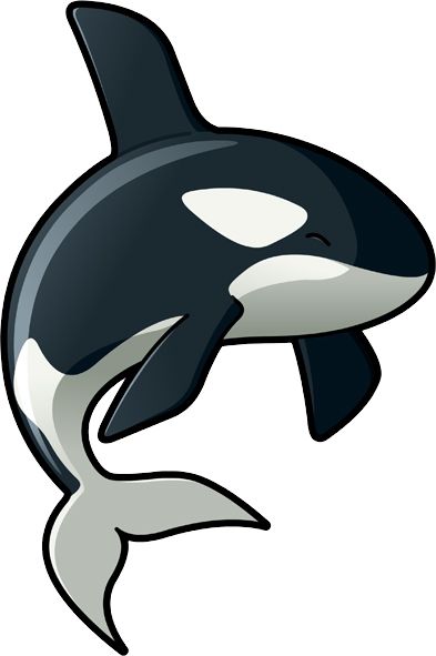 虎鲸 PNG透明背景免抠图元素 16图库网编号:71252