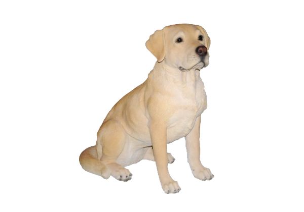 拉布拉多犬 PNG免抠图透明素材 素材天下编号:72652