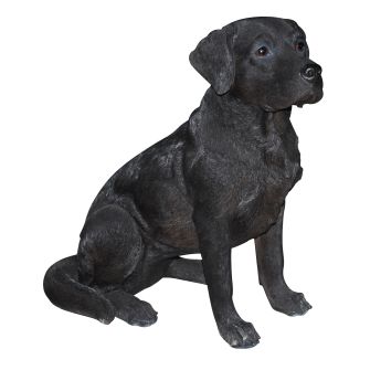 拉布拉多犬 PNG透明元素免抠图素材 16素材网编号:72675