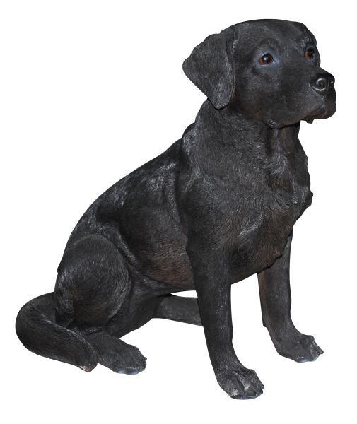 拉布拉多犬 PNG免抠图透明素材 16设计网编号:72706