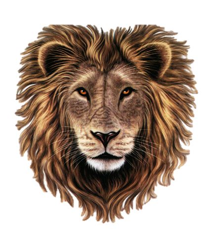 狮子 PNG透明元素免抠图素材 16素材网编号:23269