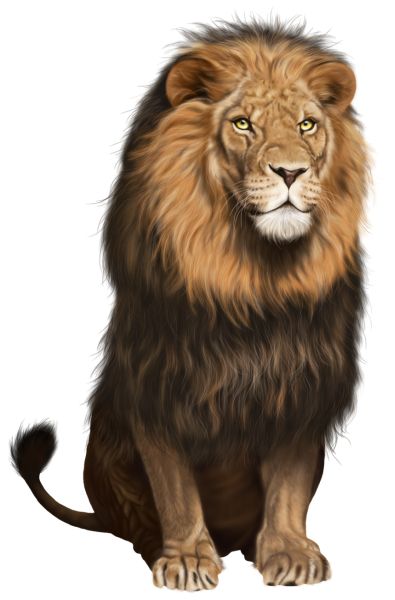 狮子 PNG免抠图透明素材 16设计网编号:23276