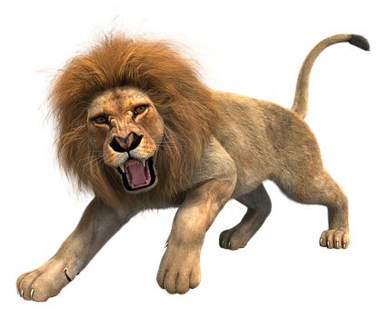 狮子 PNG透明背景免抠图元素 16图库网编号:23289