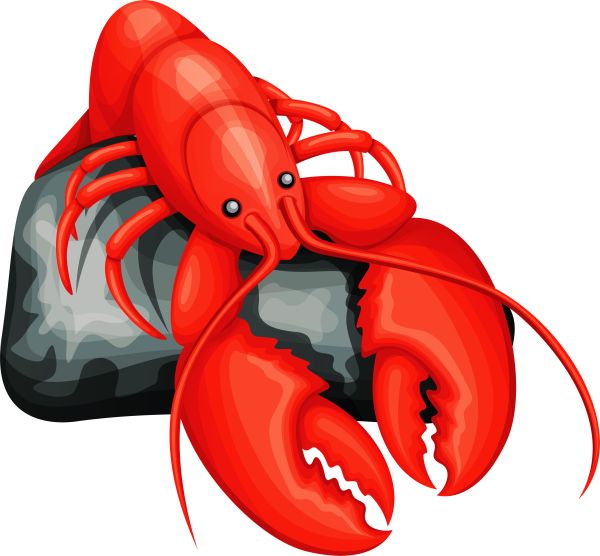龙虾 PNG免抠图透明素材 16设计网编号:14230
