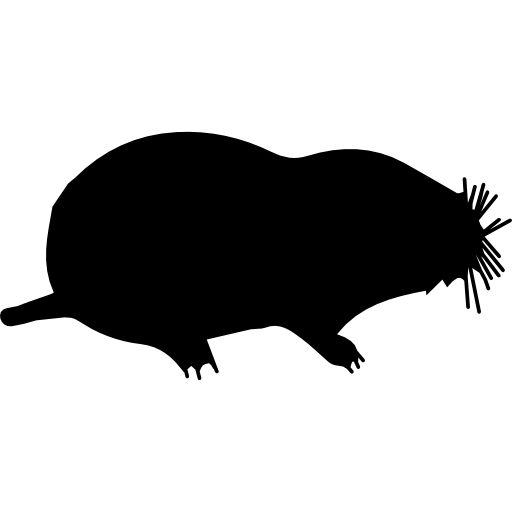鼹鼠 PNG免抠图透明素材 16设计网