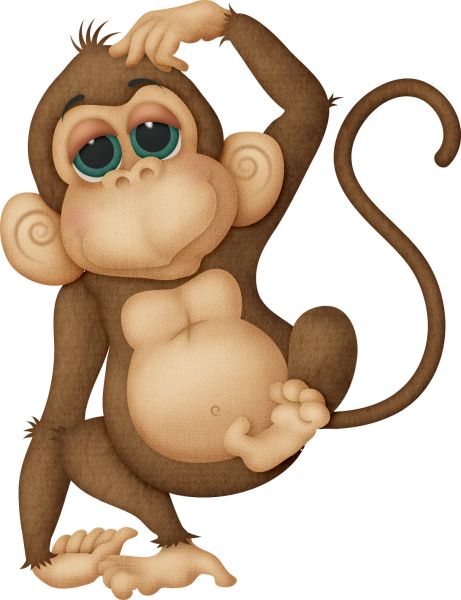 猴子 PNG免抠图透明素材 16设计网编号:18735