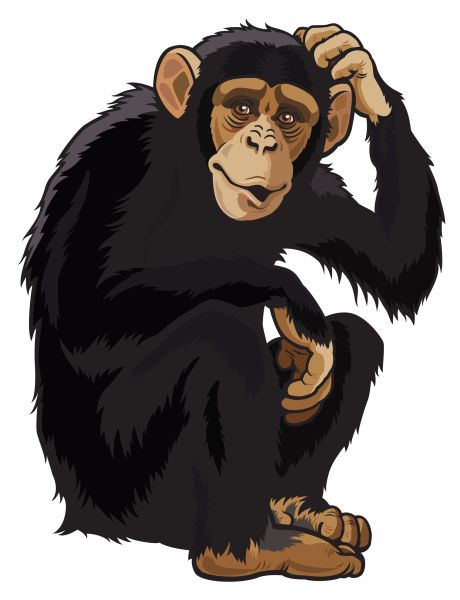 猴子 PNG免抠图透明素材 16设计网编号:18739