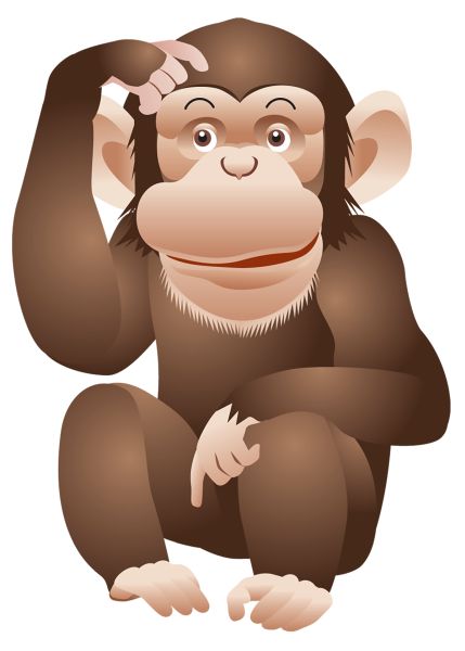 猴子 PNG透明背景免抠图元素 素材中国编号:18741