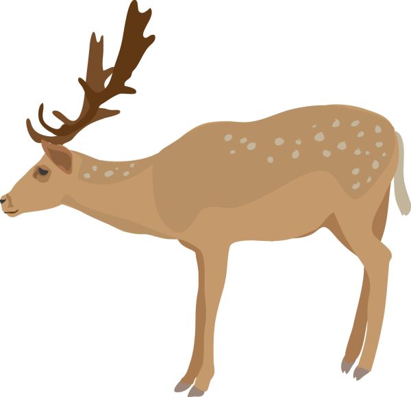 Moose, elk PNG透明背景免抠图元素 素材中国编号:66210