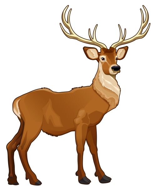 Moose, elk PNG透明元素免抠图素材 16素材网编号:66215