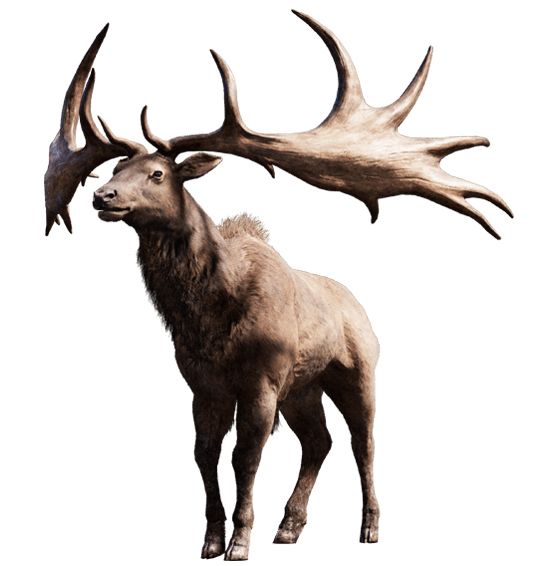 Moose, elk PNG透明元素免抠图素材 16素材网编号:66216