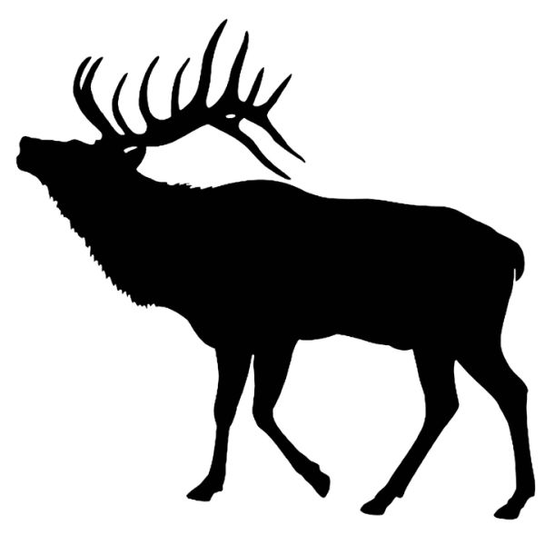 Moose, elk PNG透明元素免抠图素材 16素材网编号:66220