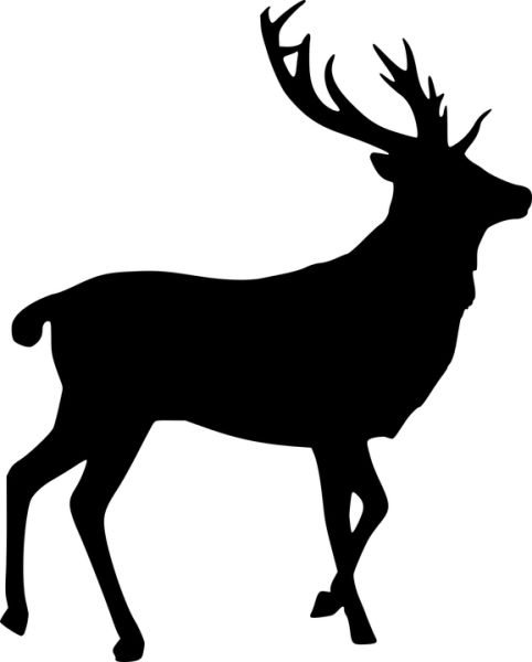Moose, elk PNG透明元素免抠图素材 16素材网编号:66221