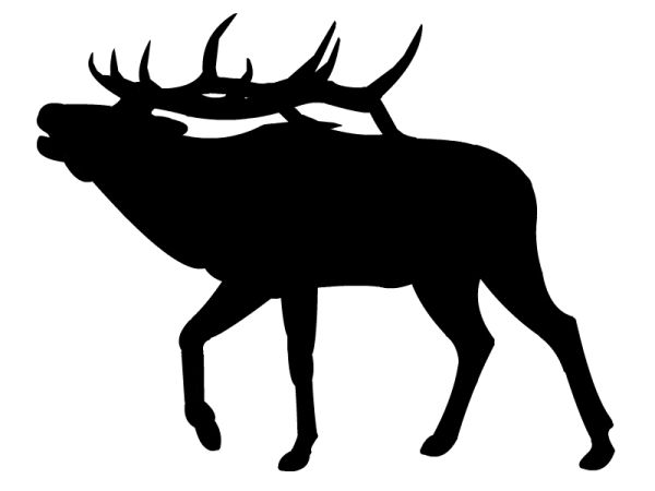 Moose, elk PNG透明元素免抠图素材 16素材网编号:66223