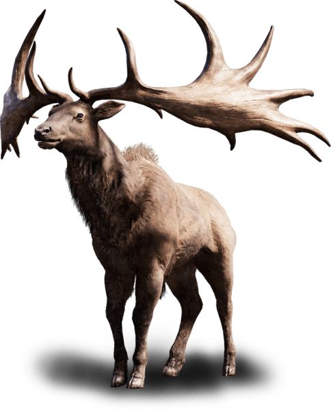 Moose, elk PNG透明元素免抠图素材 16素材网编号:66226