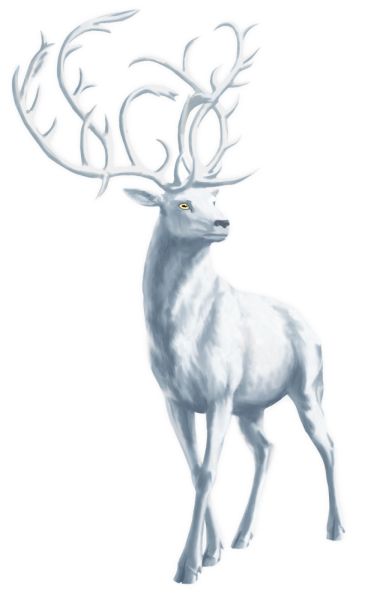 Moose, elk PNG免抠图透明素材 普贤居素材编号:66238