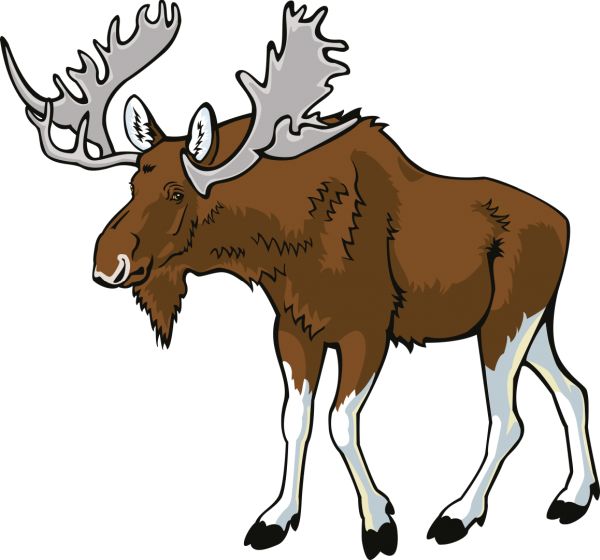 Moose, elk PNG透明元素免抠图素材 16素材网编号:66243
