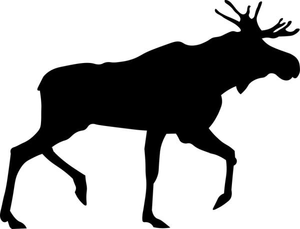 Moose, elk PNG透明元素免抠图素材 16素材网编号:66247