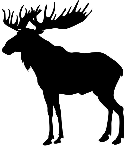 Moose, elk PNG透明元素免抠图素材 16素材网编号:66205