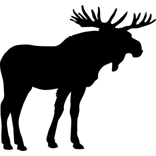 Moose, elk PNG透明元素免抠图素材 16素材网编号:66252