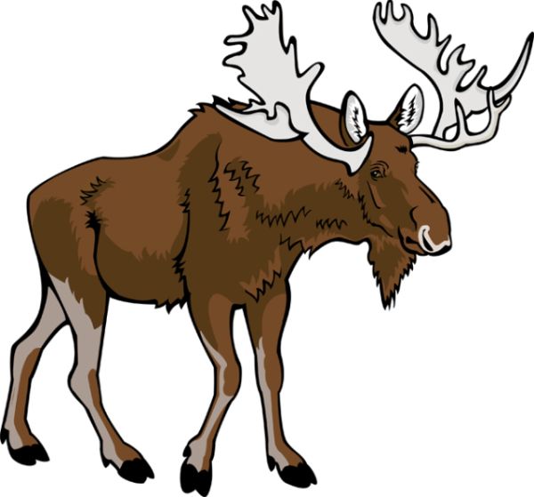 Moose, elk PNG透明元素免抠图素材 16素材网编号:66255
