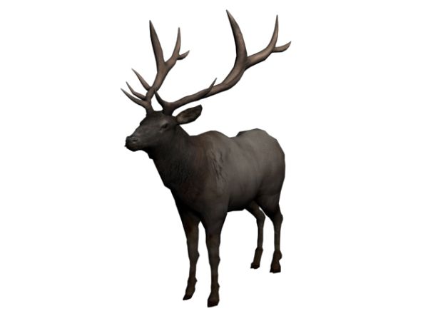 Moose, elk PNG透明元素免抠图素材 16素材网编号:66265