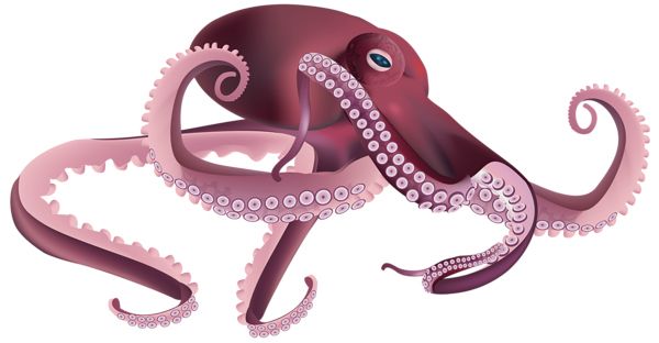 章鱼 PNG免抠图透明素材 16设计网编号:47027