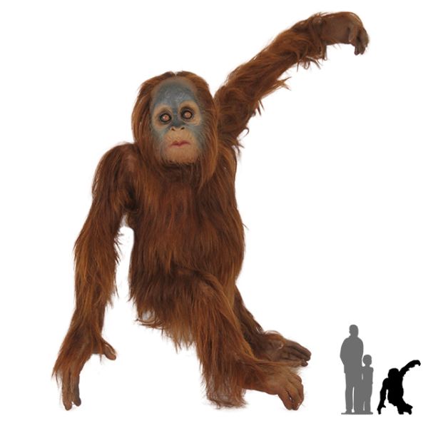 猩猩 PNG免抠图透明素材 16设计网编号:31377