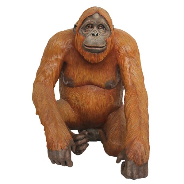 猩猩 PNG透明元素免抠图素材 16素材网编号:31370