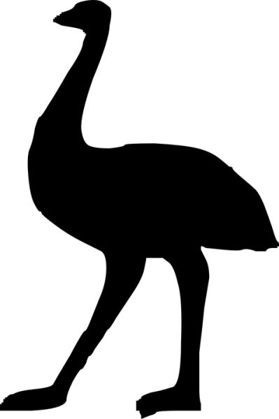 鸵鸟PNG透明背景免抠图元素 16图库网编号:76967